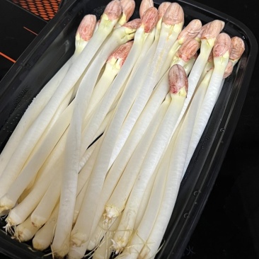 精品花生芽鲜花生芽/陕西汉中价格可谈）欢迎电联