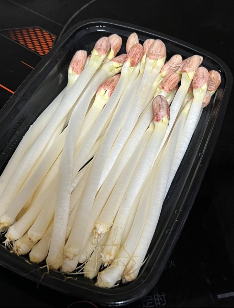 精品花生芽鲜花生芽/陕西汉中价格可谈）欢迎电联