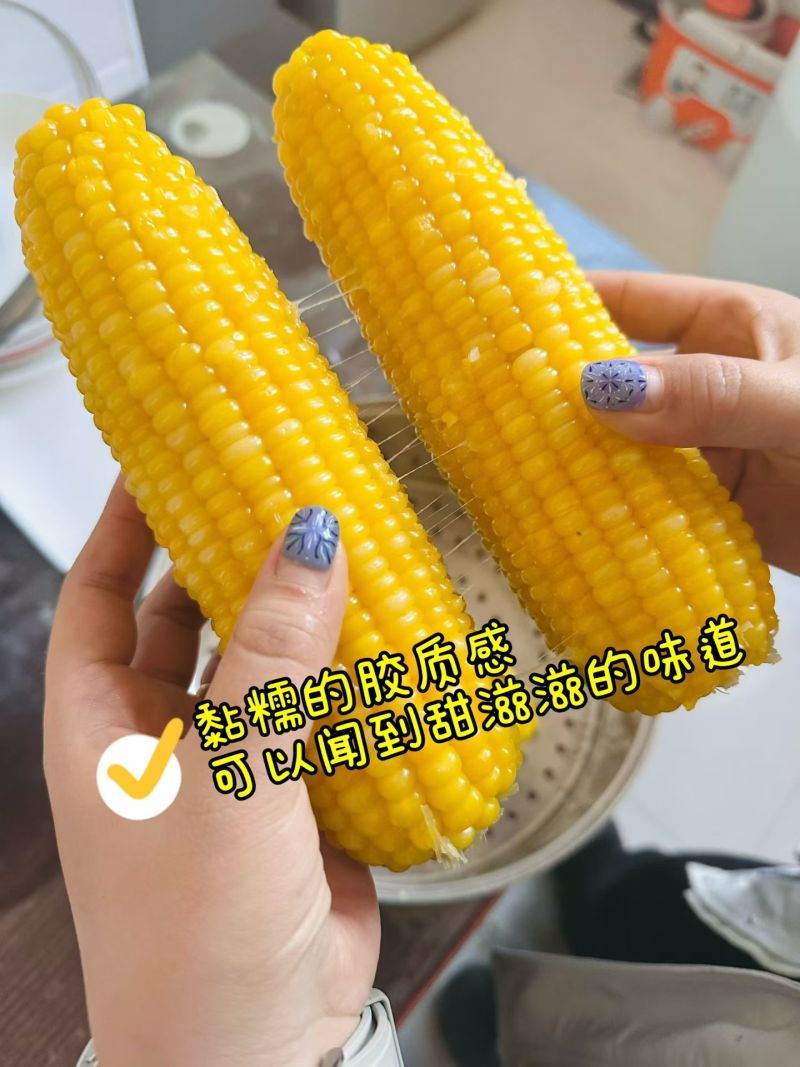 玉米粘糯甜，16-18厘米
