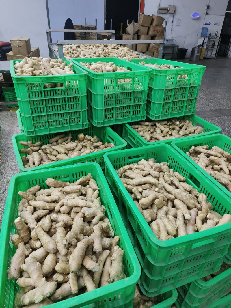 供应（沙土姜/水洗姜/烘干姜）承接电商、出口、食品加工厂