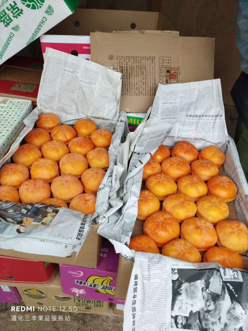 磨盘大柿子，产地直发，个头均匀，保质保量，诚信经营