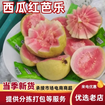西瓜番石90~100mm红心大量有货欢迎老板来电