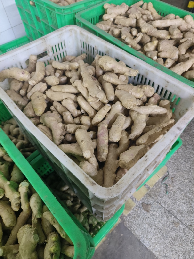 供应（沙土姜/水洗姜/烘干姜）承接电商、出口、食品加工厂