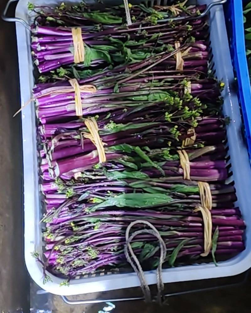 白菜苔湖南娄底