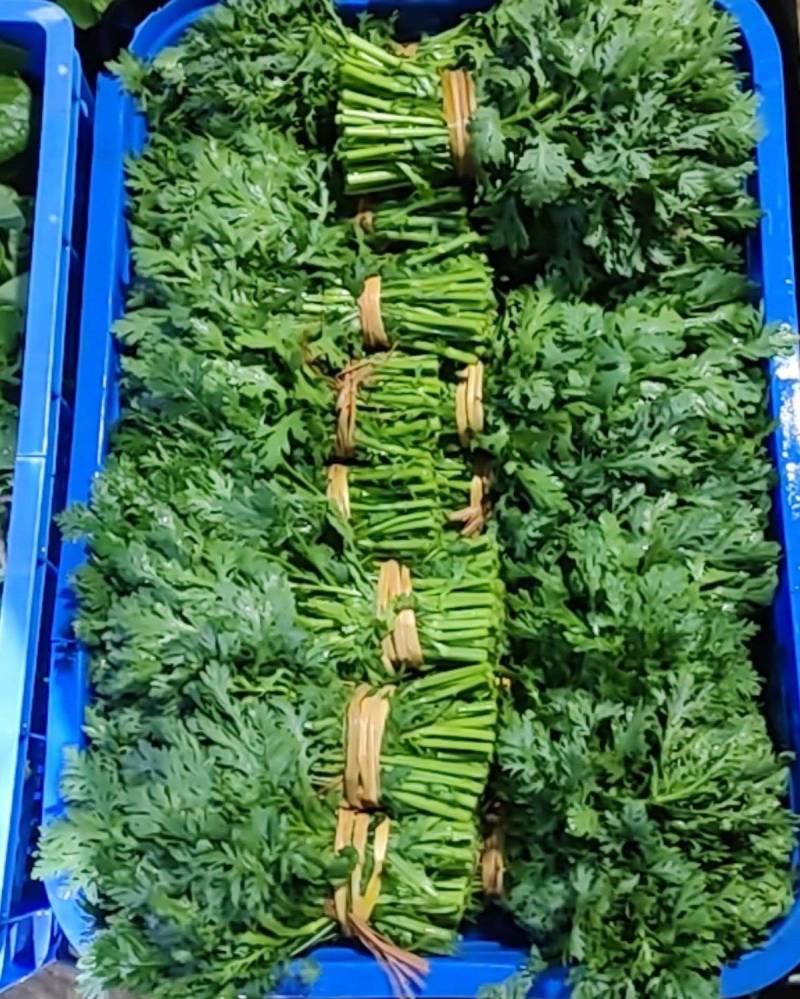 白菜苔湖南娄底