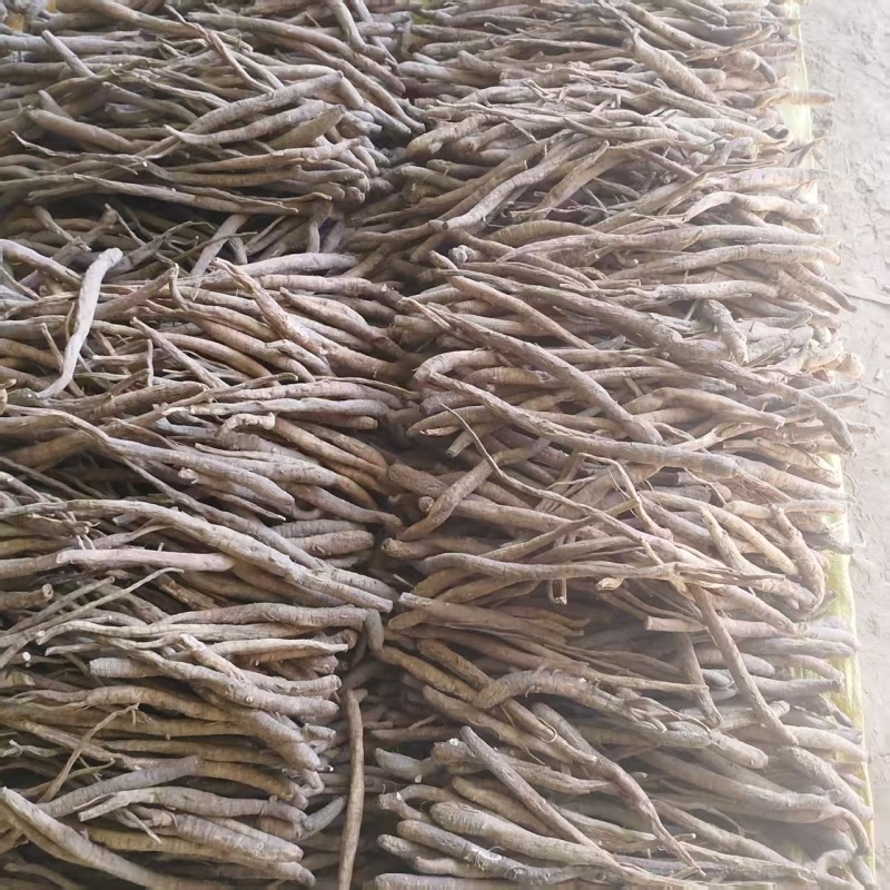 当归品质保证长期有货随时发货欢迎联系购买正品