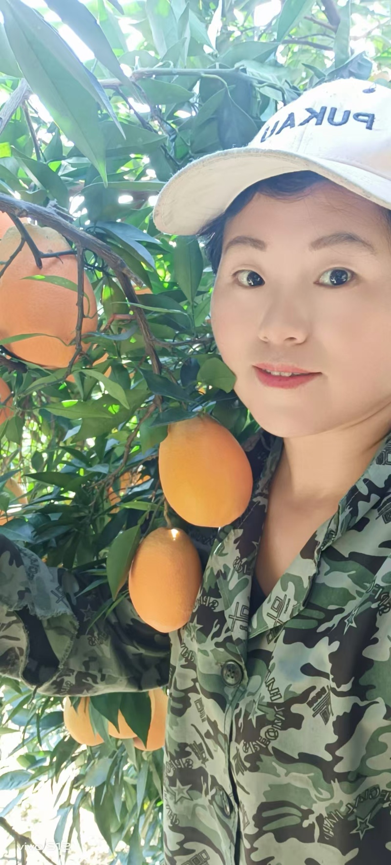 长虹脐橙【橙子】诚信经营，客户至上！欢迎考察