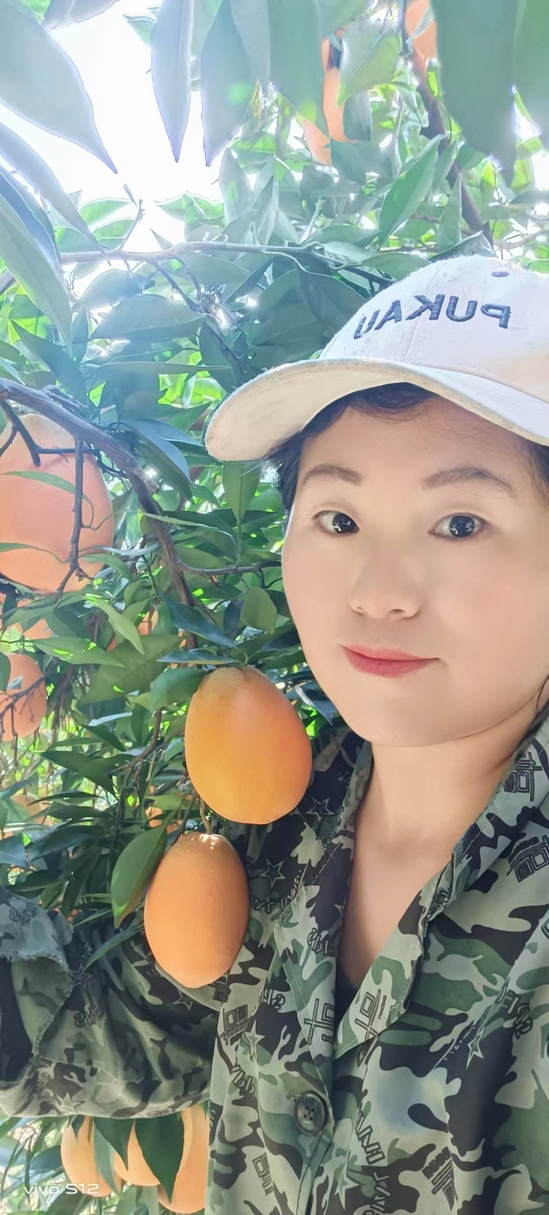 长虹脐橙【橙子】诚信经营，客户至上！欢迎考察