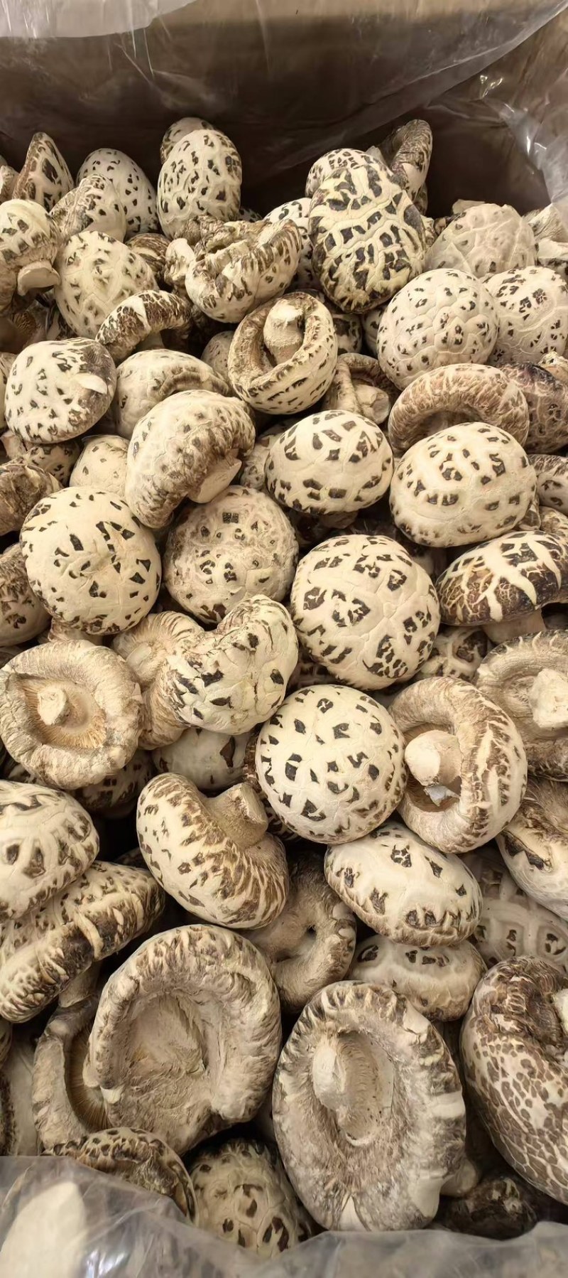 泌阳双丰干香菇产地直发，一手货源，欢迎全国致电采购