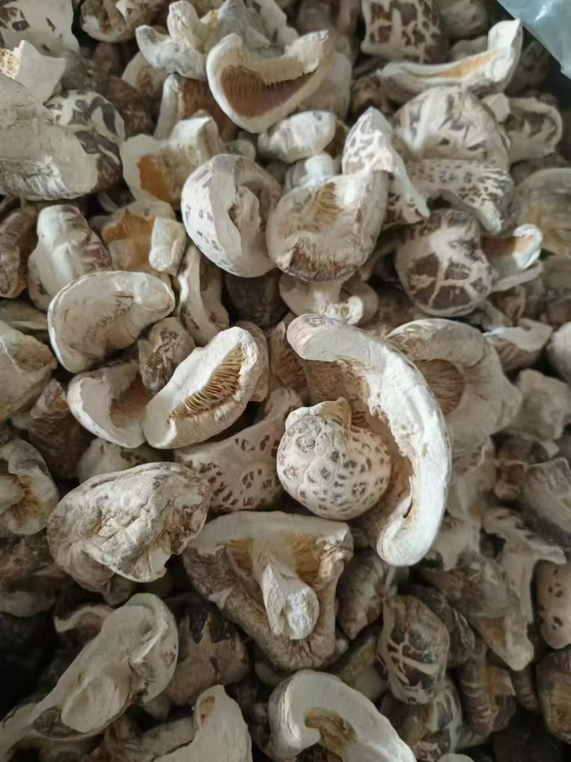 泌阳双丰干香菇产地直发，一手货源，欢迎全国致电采购
