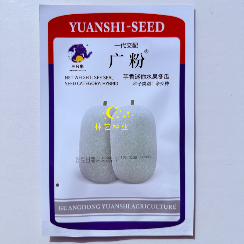 广粉芋香迷你水果冬瓜种子中早熟粉皮小冬瓜种籽肉厚抗病
