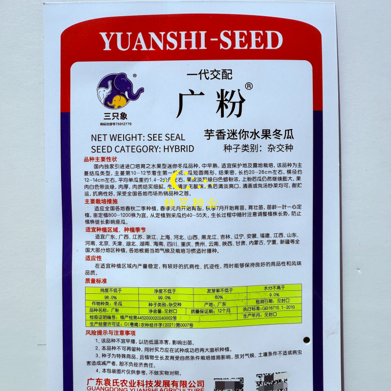 广粉芋香迷你水果冬瓜种子中早熟粉皮小冬瓜种籽肉厚抗病