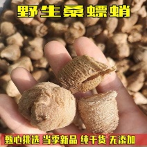 桑螵蛸中药材新货无硫螳螂籽大货供应一手货源