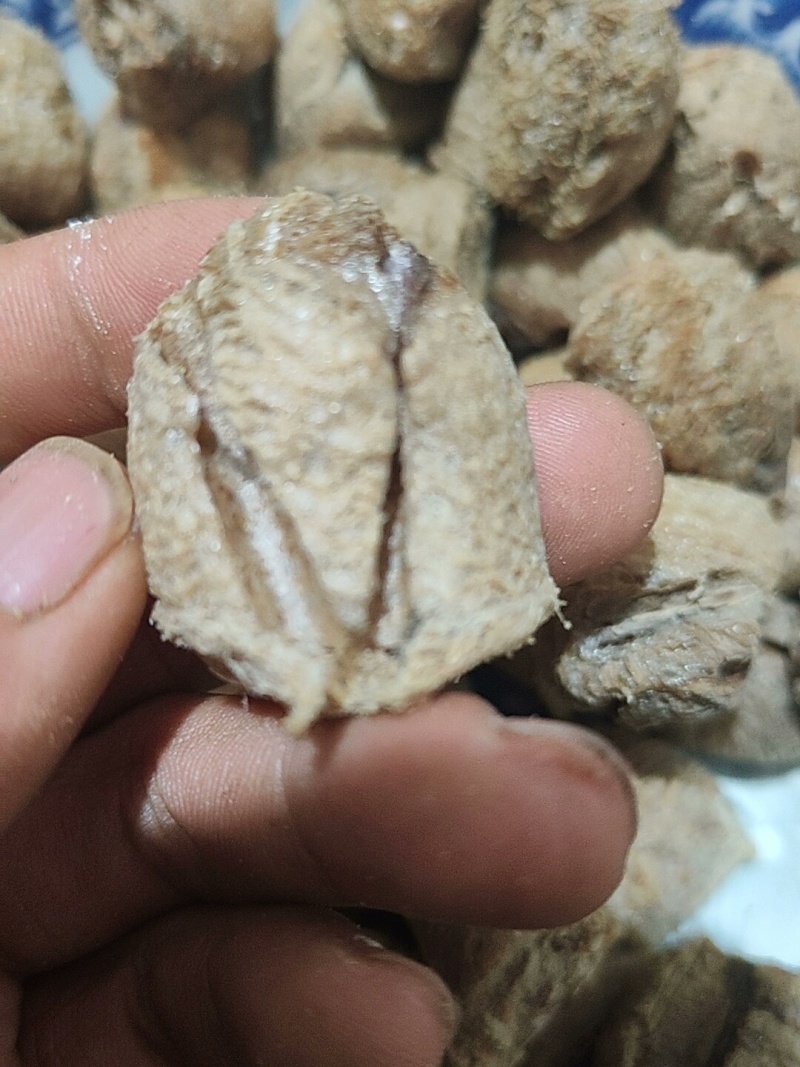 桑螵蛸中药材新货无硫螳螂籽大货供应一手货源