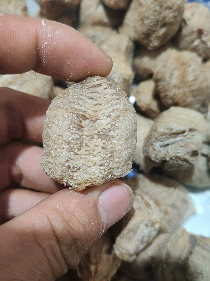 桑螵蛸中药材新货无硫螳螂籽大货供应一手货源