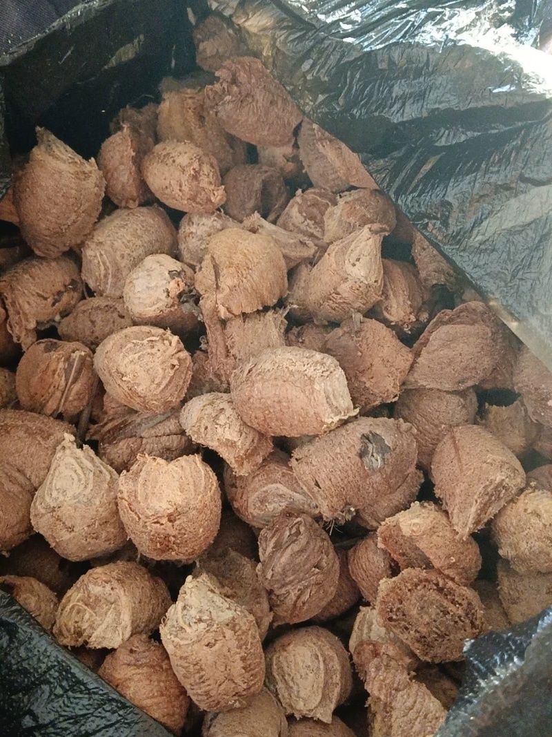 桑螵蛸中药材新货无硫螳螂籽大货供应一手货源