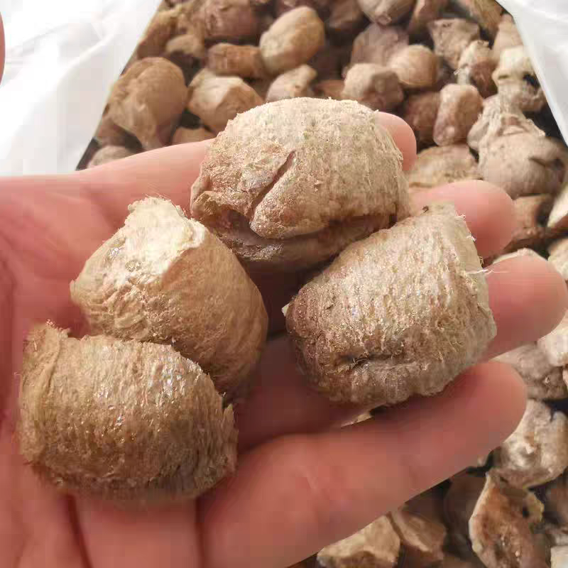 桑螵蛸中药材新货无硫螳螂籽大货供应一手货源