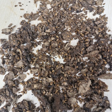 中药渣，增强动物抵抗力，预防生病，代替部分饲料