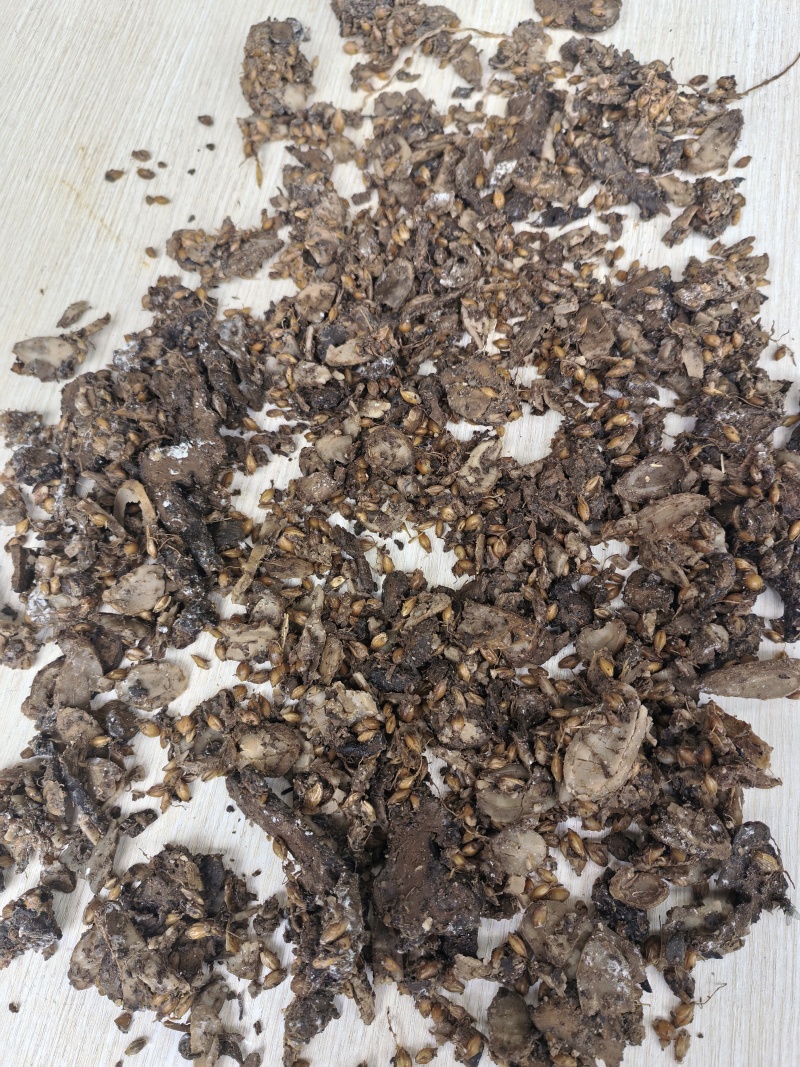 中药渣，增强动物抵抗力，预防生病，代替部分饲料
