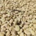 甘肃蚕豆，大片干蚕豆色选蚕豆2025年新货