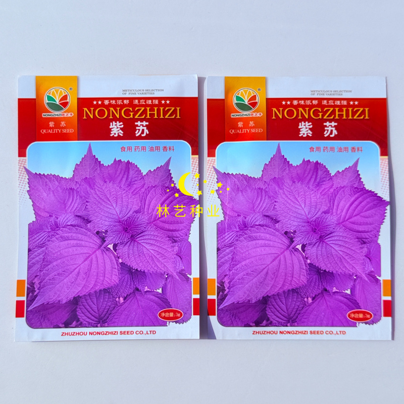 紫苏种子可食用紫苏种子春夏秋四季播阳台盆栽