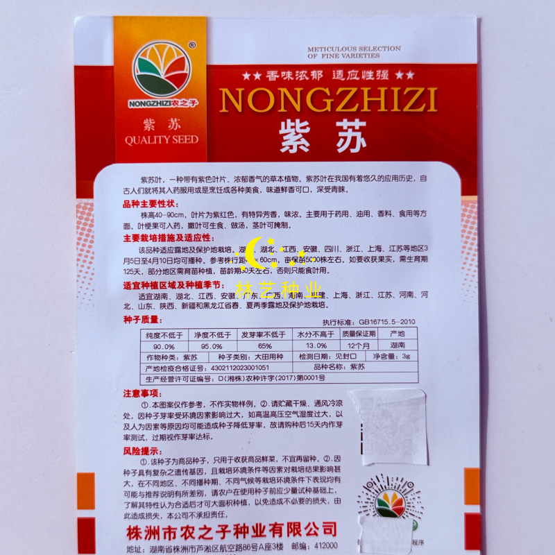 紫苏种子可食用紫苏种子春夏秋四季播阳台盆栽