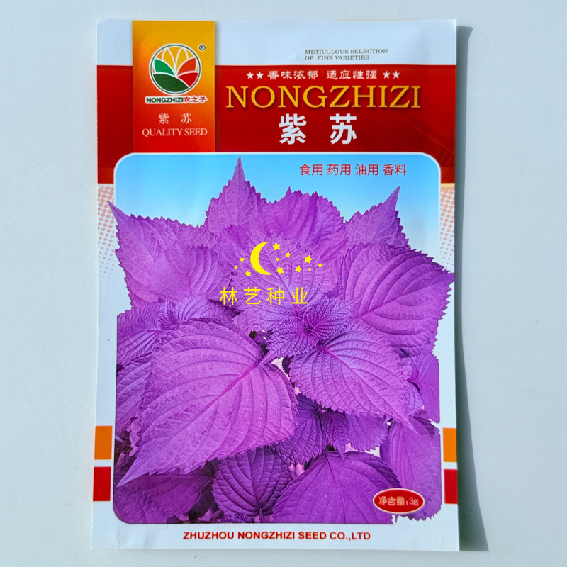 紫苏种子可食用紫苏种子春夏秋四季播阳台盆栽