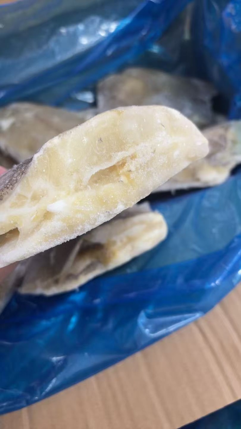 整条鲽鱼比目鱼鸦片鱼无冰大鲽鱼蝶鱼海鱼批发商用整条鲽鱼