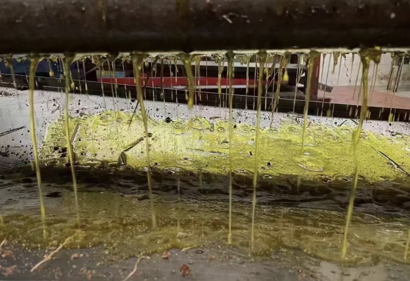 茶油
