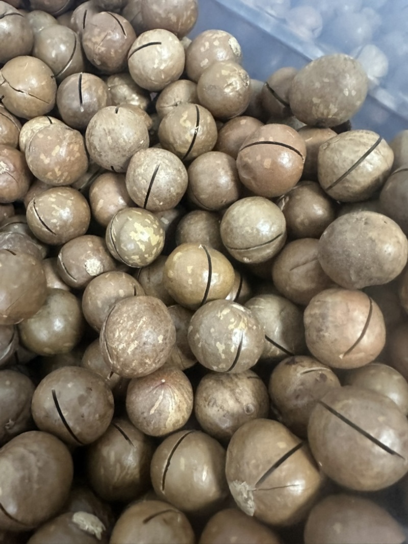 夏威夷果你带量我有价