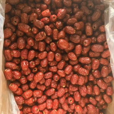【实力推荐】新疆去核红枣厂家直销保质保量诚信经营规格齐全