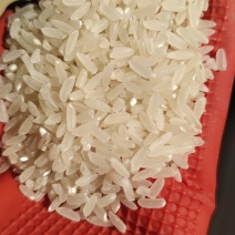 东北大米
