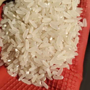 东北大米