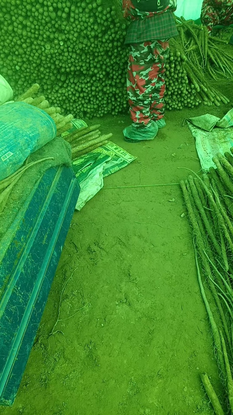 铁棍山药品质保证服务周到产地直发价格美丽