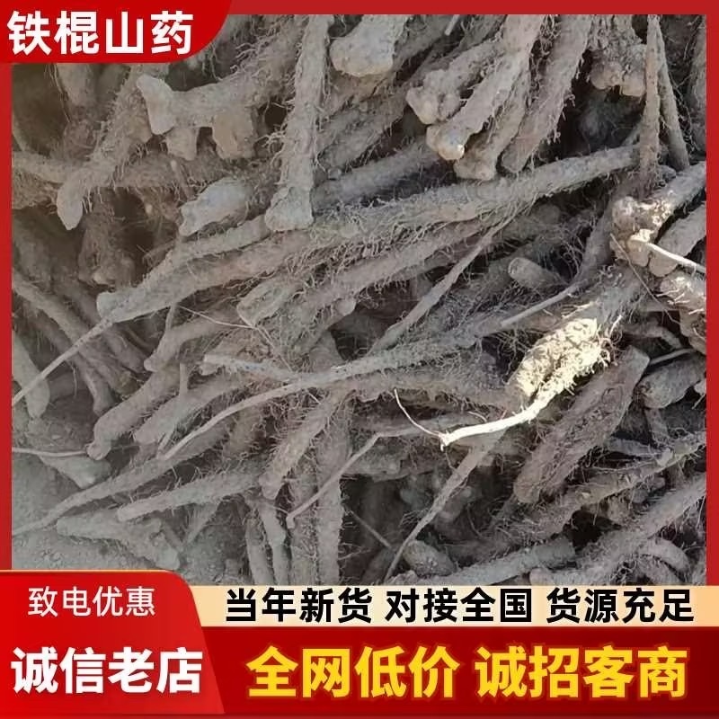 铁棍山药品质保证服务周到产地直发价格美丽