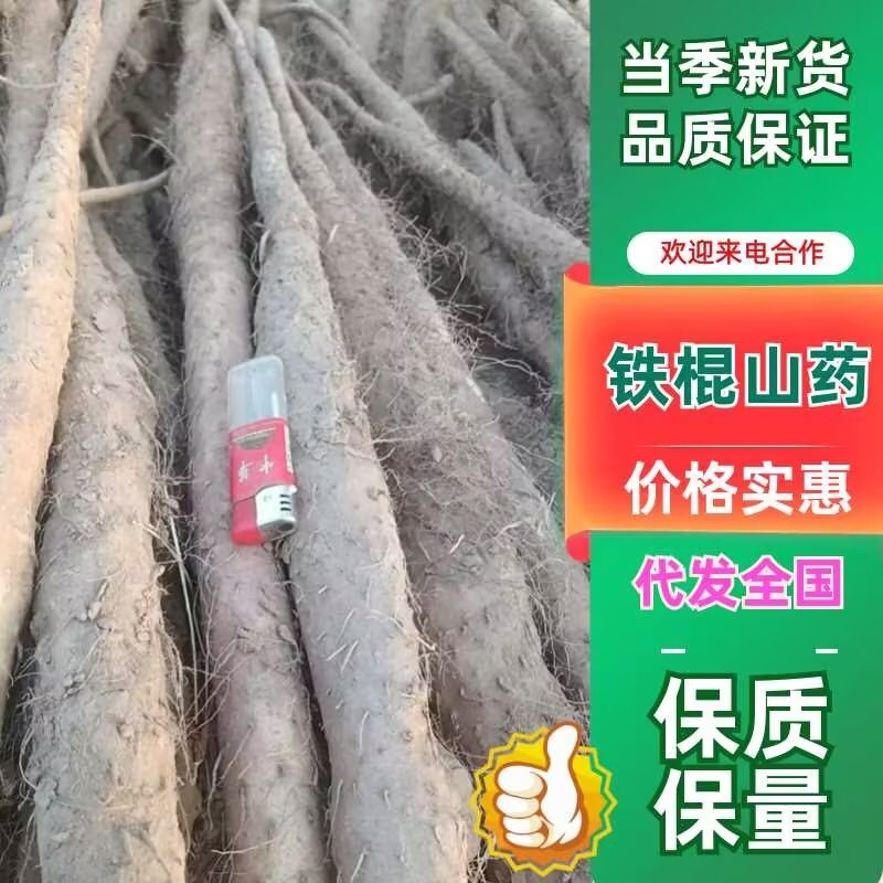 铁棍山药价格美丽品质保证服务周到大量现货