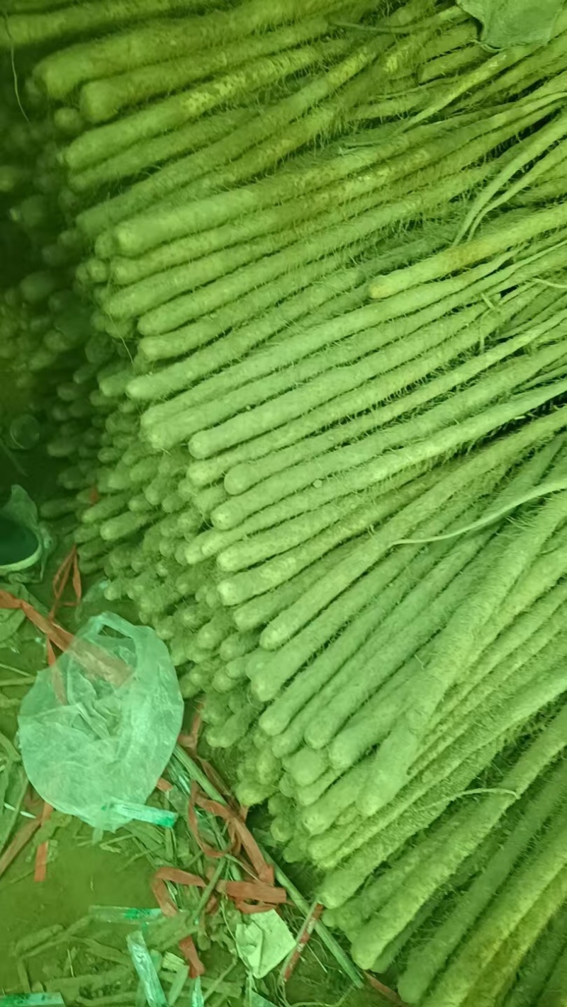 铁棍山药价格美丽品质保证服务周到大量现货
