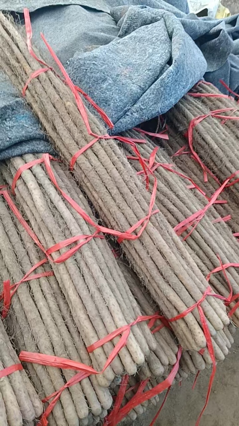 铁棍山药价格美丽品质保证服务周到大量现货