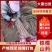 山药品质保证价格美丽欢迎老板前来联系咨询一手货源