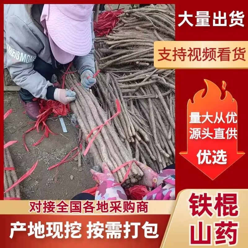山药品质保证价格美丽欢迎老板前来联系咨询一手货源