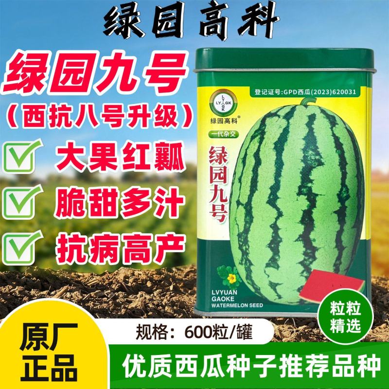 绿园九号石头瓜种子大果红瓤西抗八号西瓜种子中晚熟花皮高产