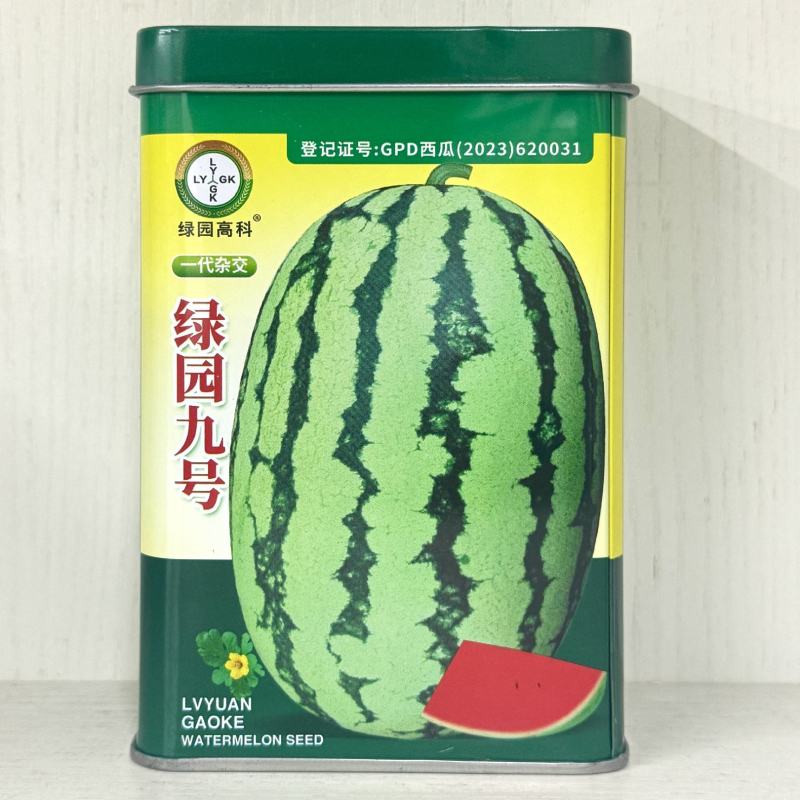 绿园九号石头瓜种子大果红瓤西抗八号西瓜种子中晚熟花皮高产