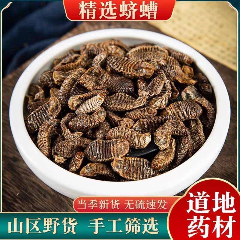 新货无硫中药材蛴螬土蚕老母虫核桃虫蛴螬虫大货供
