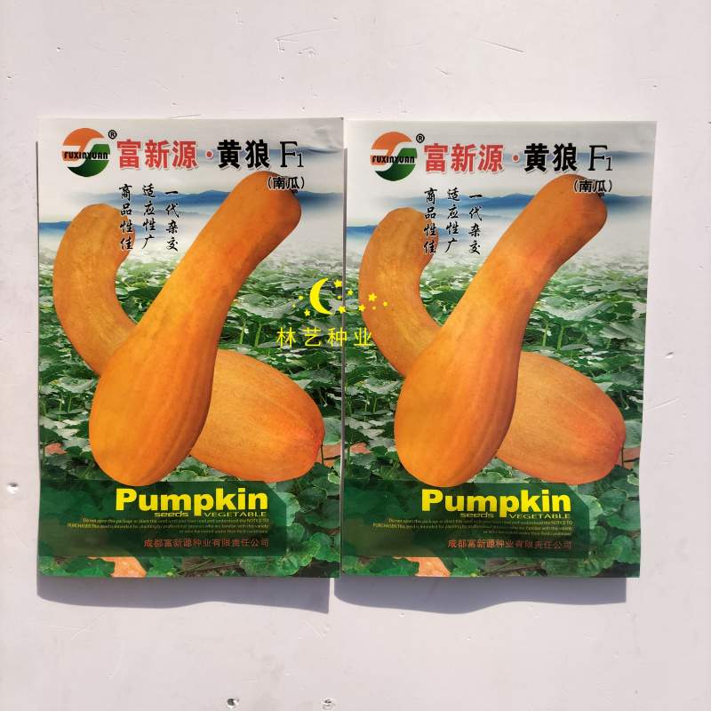 富新源黄狼南瓜种子一代杂交南瓜种籽春播早熟肉质细糯甘甜