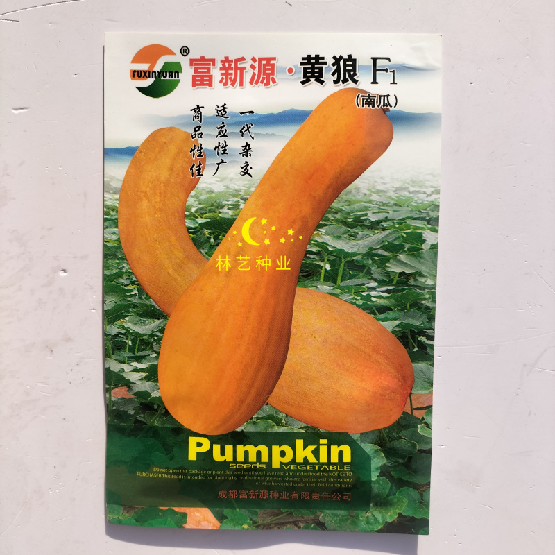 富新源黄狼南瓜种子一代杂交南瓜种籽春播早熟肉质细糯甘甜