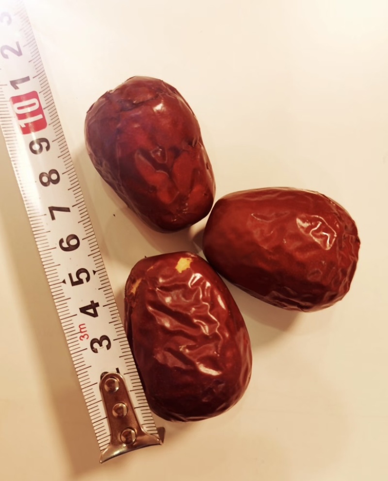 新疆和田大枣骏枣皮皮枣。源头厂家保质保量诚信经营欢迎订购