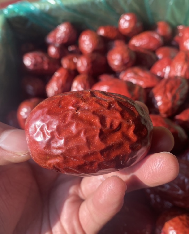 新疆和田大枣骏枣皮皮枣。源头厂家保质保量诚信经营欢迎订购
