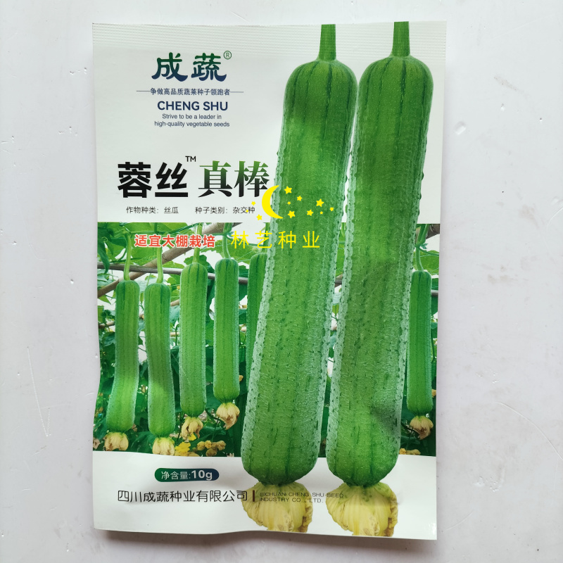 蓉香真棒肉丝瓜种子四季特大春早熟蔬菜丝瓜种孑农家春夏秋