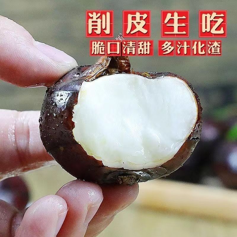 《精选》广西万亩珍珠马蹄荸荠大量上市12个一斤对接全国
