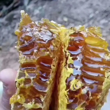 野生蜂蜜保证质量